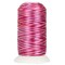 Threadart Variegated Polyester Embroidery Thread - 40wt - 1000m - 25 Colors Available